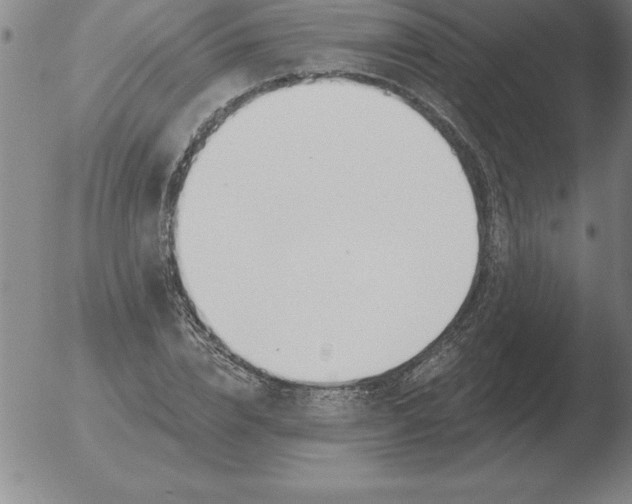 X0000051920832200507082053