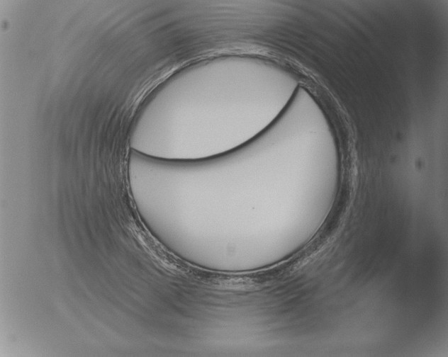 X0000051920833200507082053