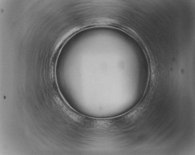 X0000051920835200507082053