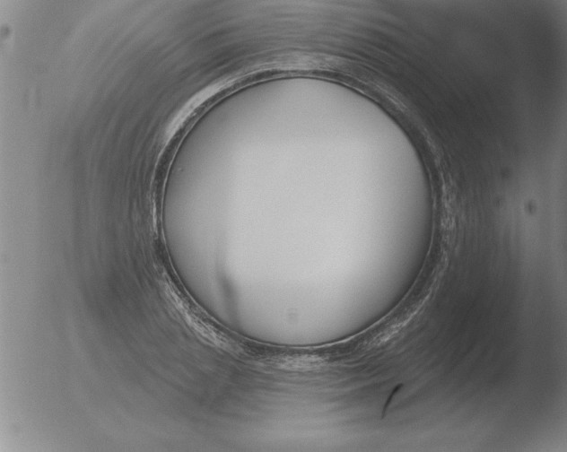 X0000051920837200507082053