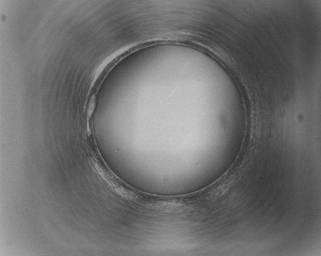 X0000051920838200507082053