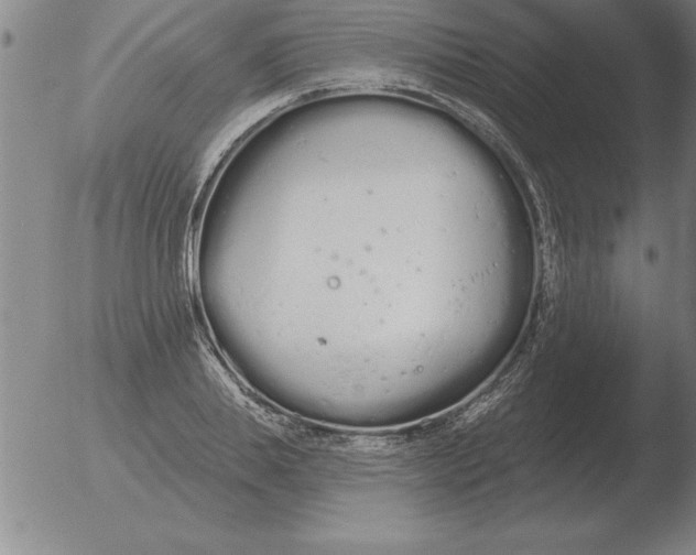 X0000051920839200507082053