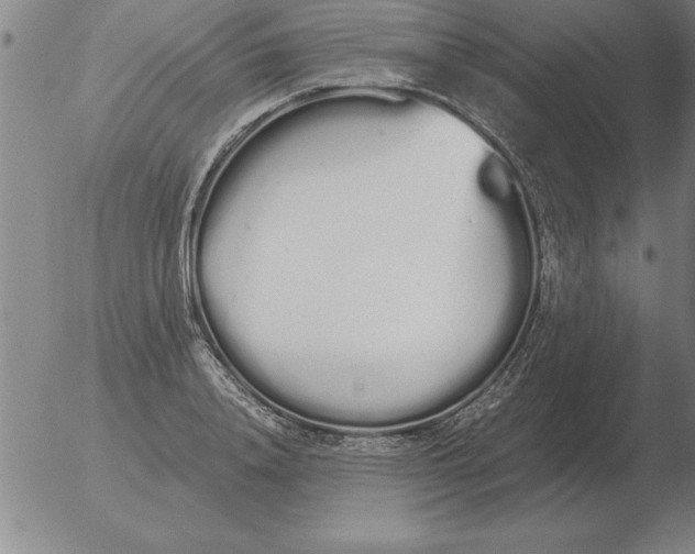 X0000051920840200507082053