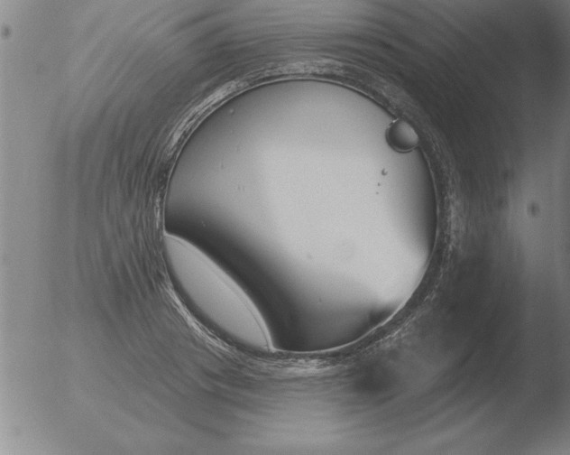 X0000051920841200507082053