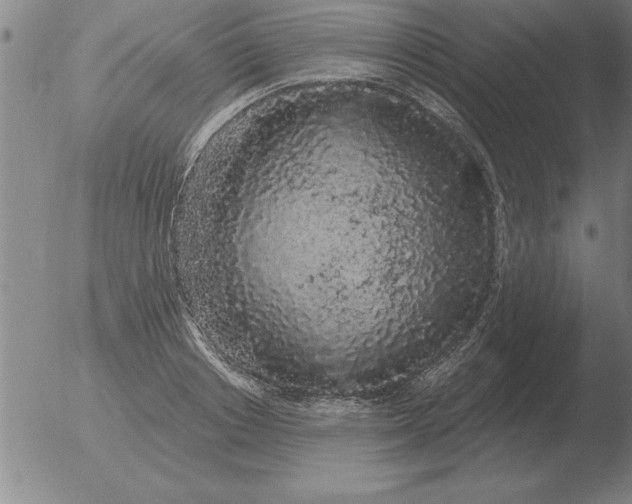 X0000051920842200507082053