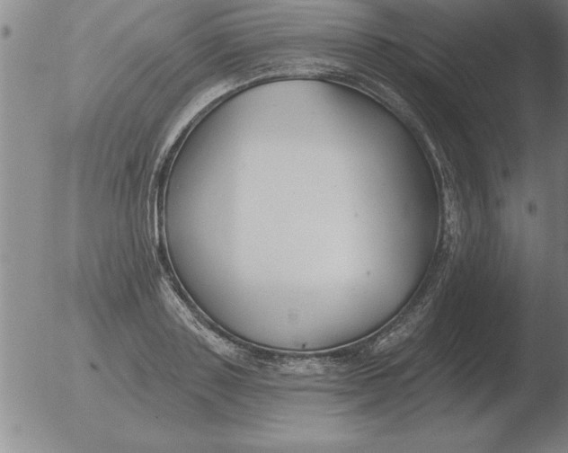 X0000051920843200507082053