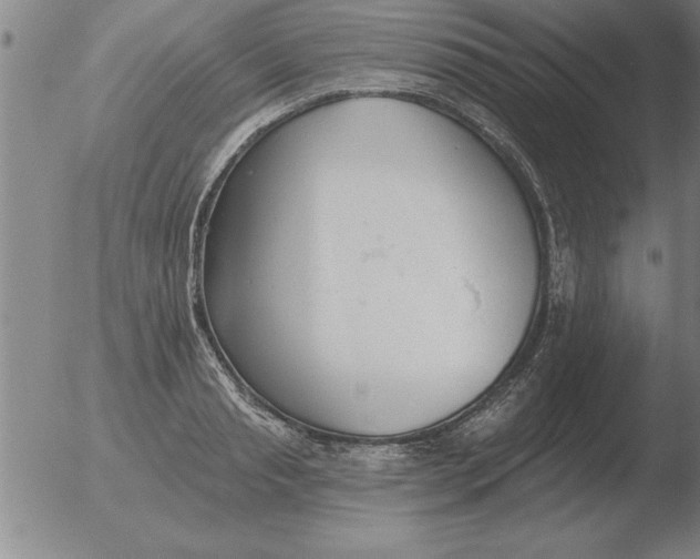 X0000051920845200507082053