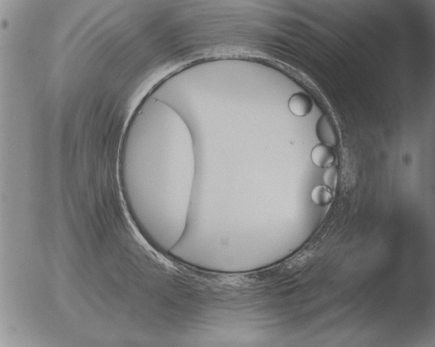 X0000051920847200507082053