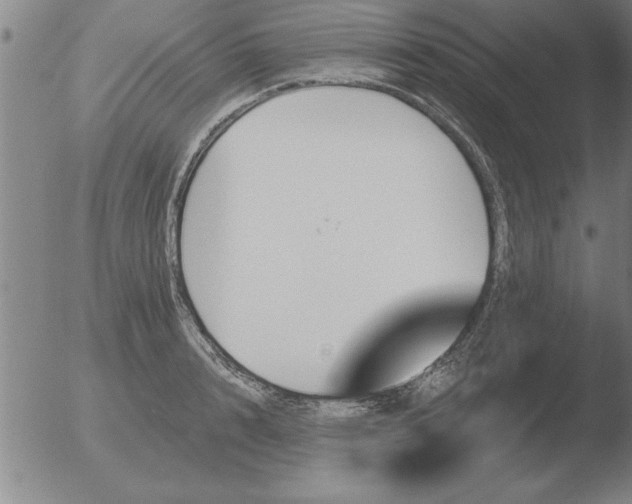 X0000051920848200507082053