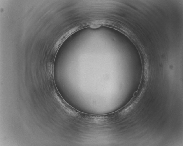 X0000051920849200507082053