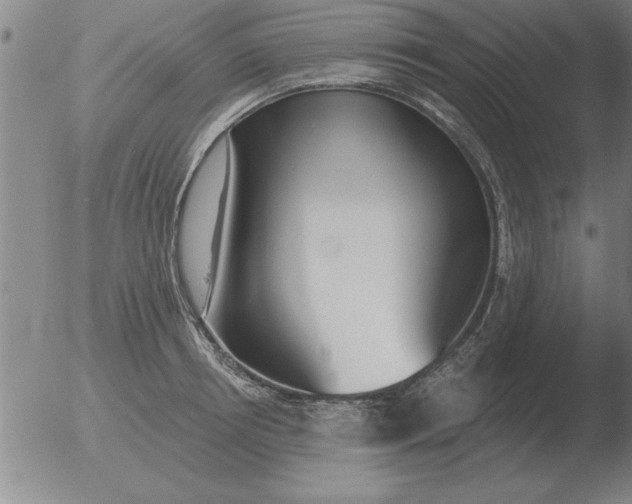 X0000051920850200507082053