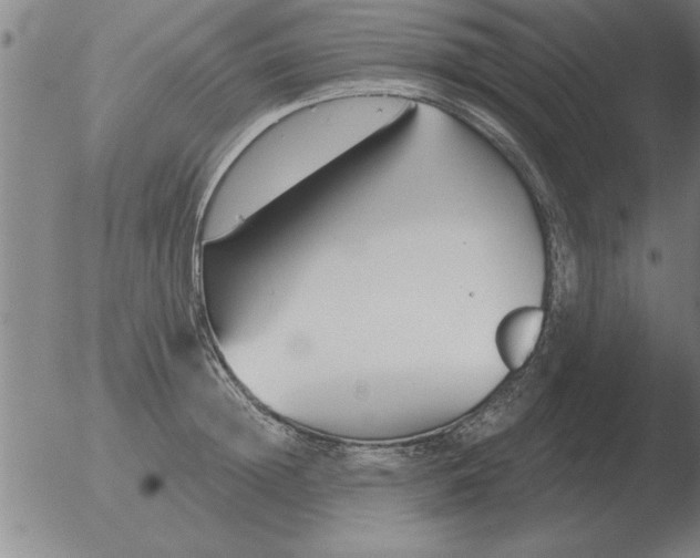 X0000051920852200507082053