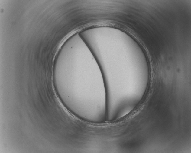 X0000051920853200507082053