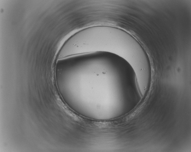 X0000051920854200507082053