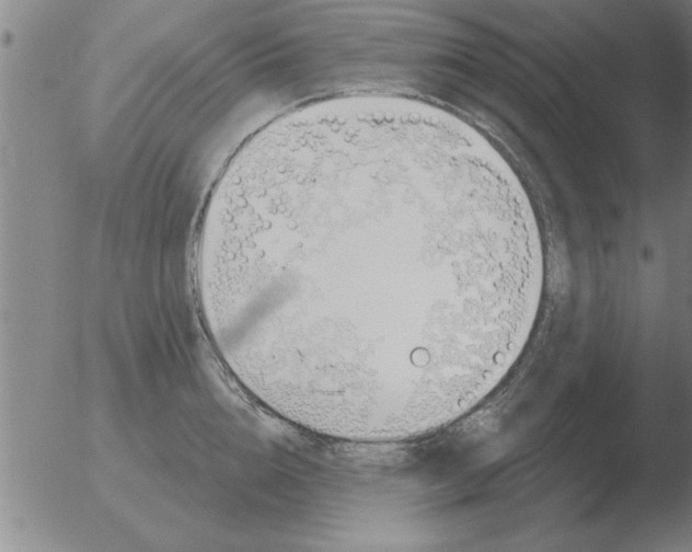 X0000051920856200507082053