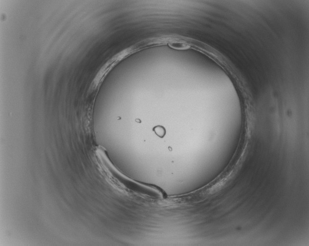 X0000051920857200507082053