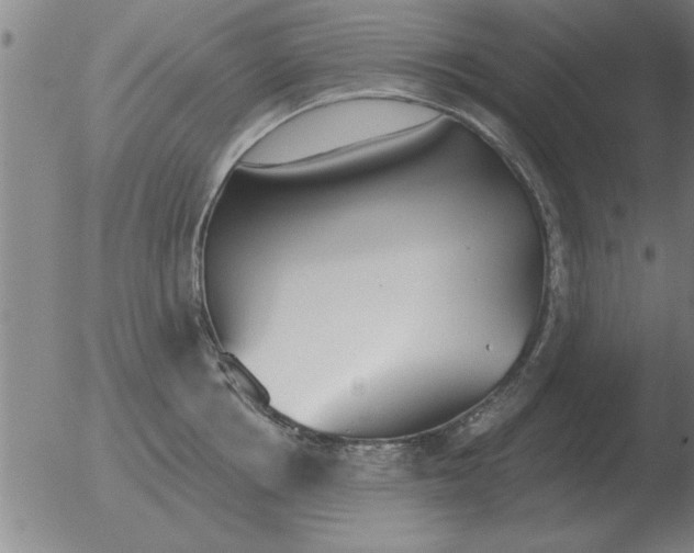 X0000051920858200507082053