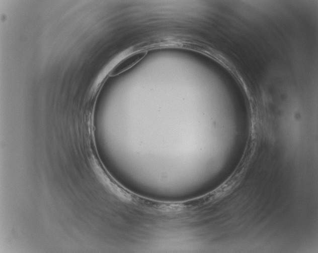 X0000051920859200507082053