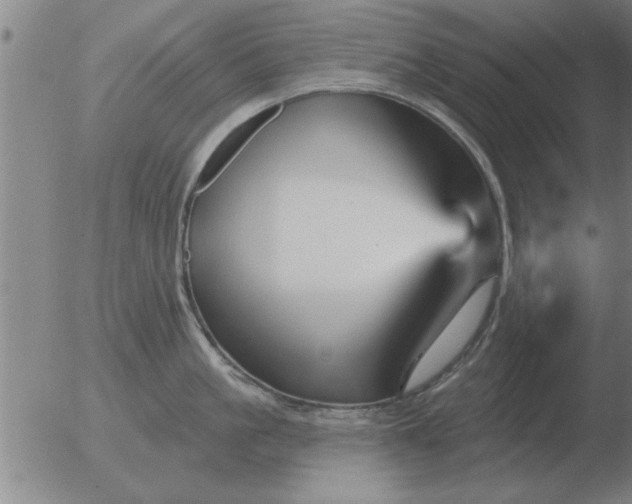 X0000051920861200507082053