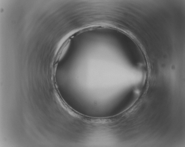 X0000051920862200507082053