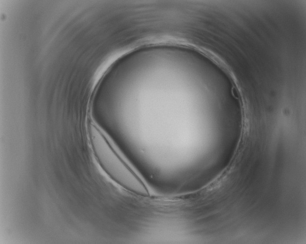 X0000051920863200507082053