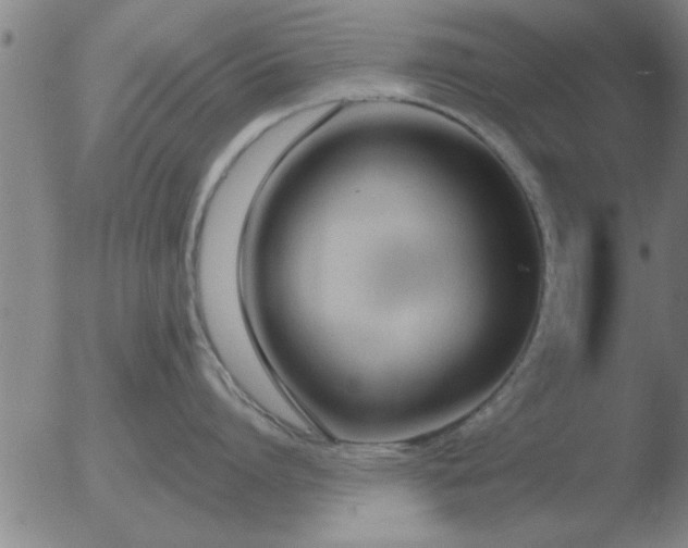 X0000051920864200507082053