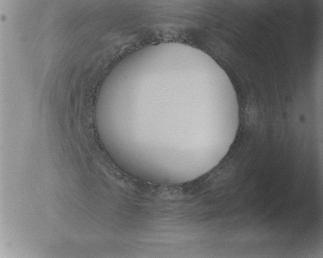 X0000051920865200507082052