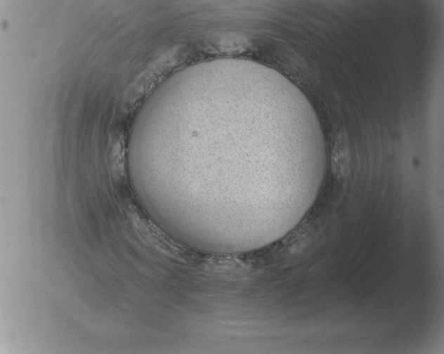 X0000051920866200507082052