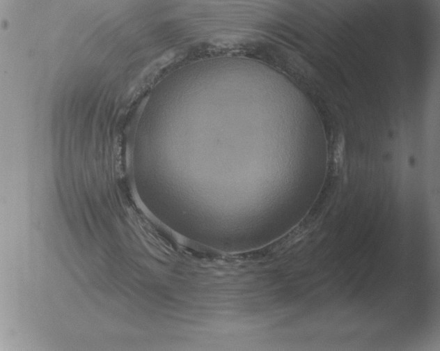 X0000051920868200507082052