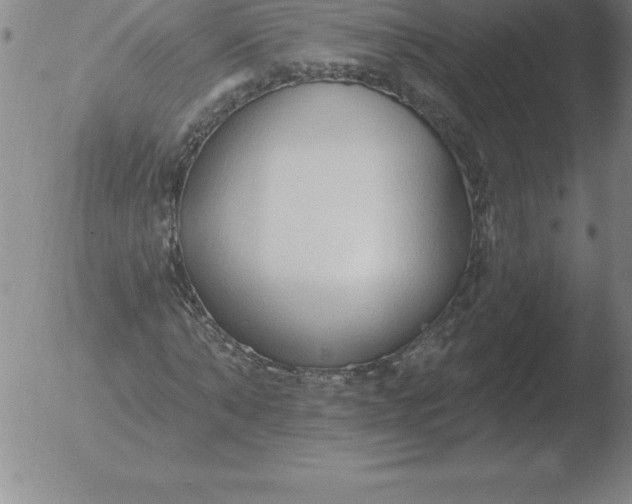 X0000051920870200507082052