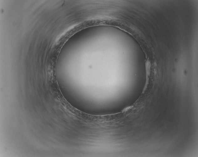 X0000051920872200507082052