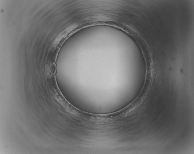 X0000051920873200507082052