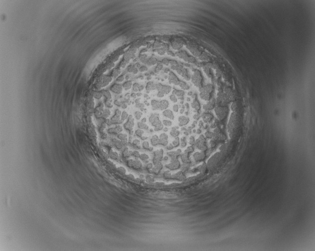 X0000051920874200507082052