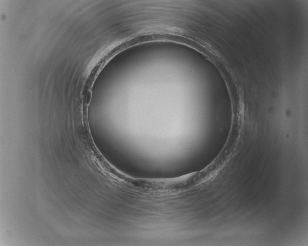 X0000051920877200507082052