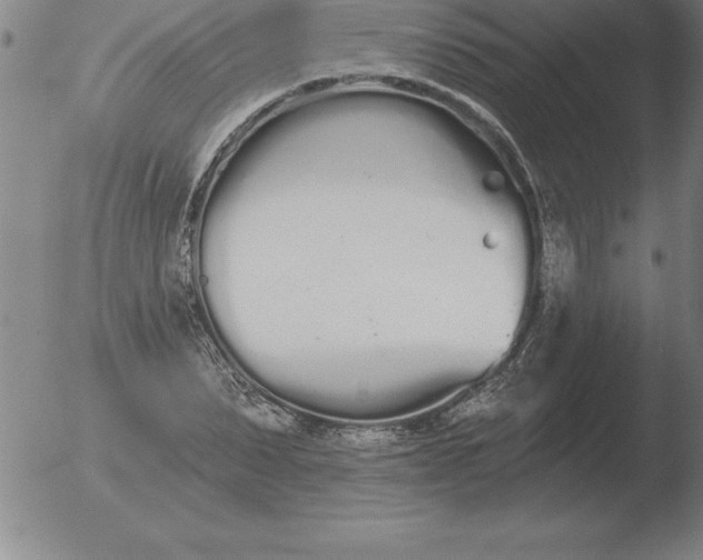 X0000051920879200507082052