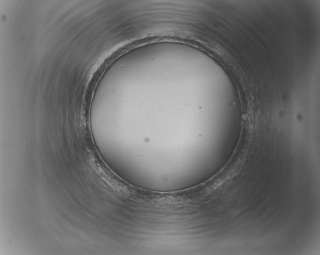 X0000051920880200507082052