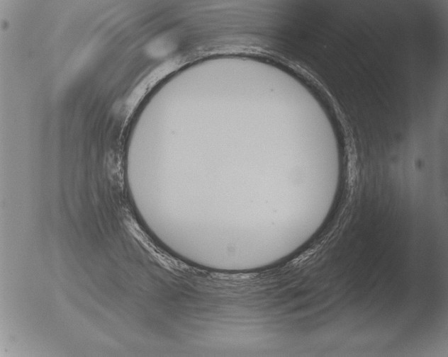 X0000051920882200507082052