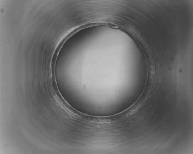 X0000051920884200507082052