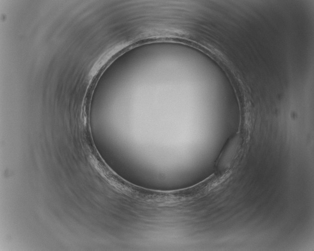 X0000051920885200507082052