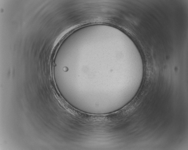 X0000051920886200507082052