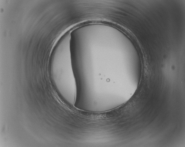 X0000051920887200507082052