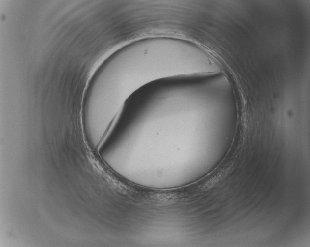 X0000051920888200507082052