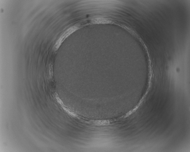 X0000051920889200507082052