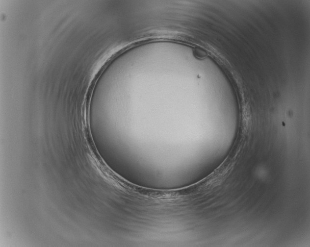 X0000051920891200507082052