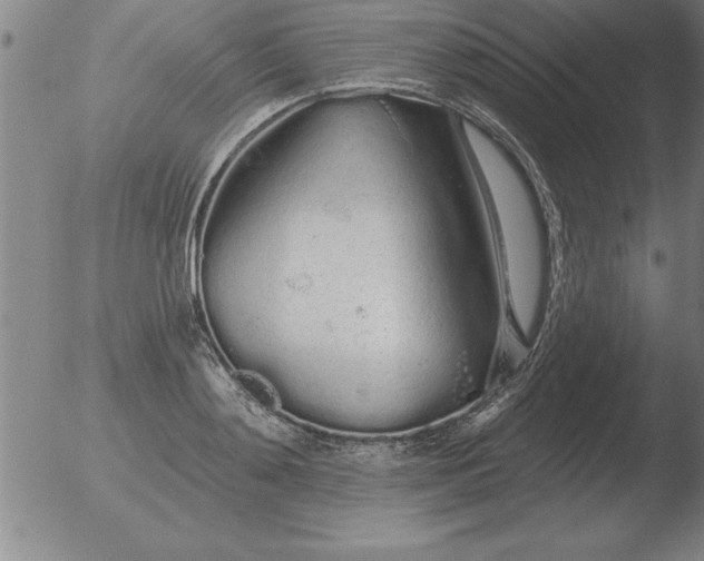 X0000051920892200507082052