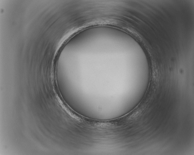 X0000051920894200507082052