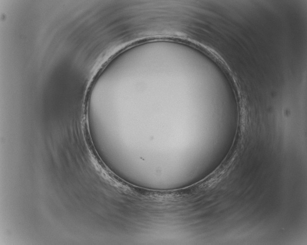 X0000051920895200507082052