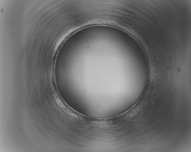 X0000051920896200507082052