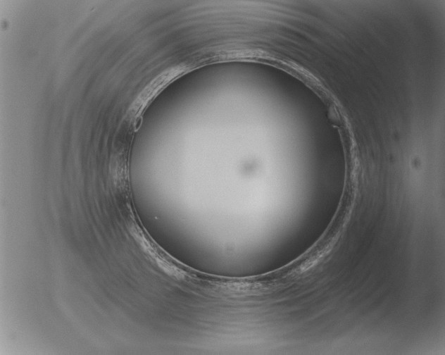 X0000051920897200507082052