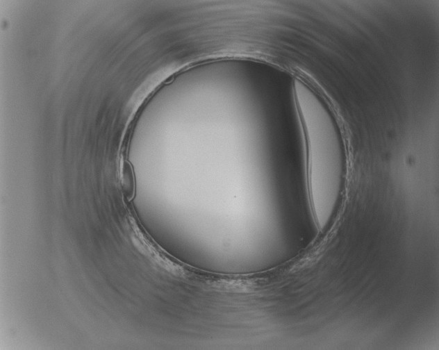 X0000051920900200507082052